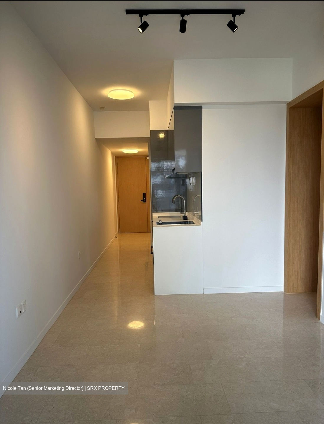 The Tre Ver (D13), Condominium #564158561
